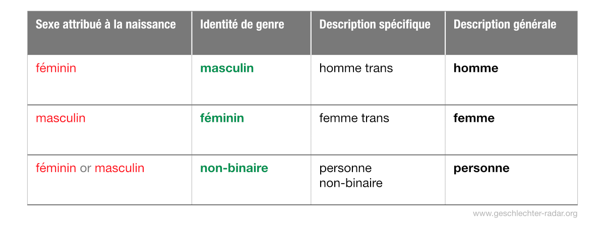 Sexe attribué | Identité | Description spécifique | Description générale feminin | masculin | homme trans | homme masculin | féminin | femme trans | femme féminin or masculin | non-binaire | personne non-binaire | personne