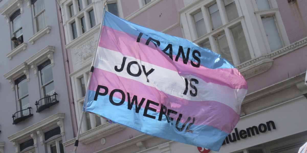 Flag: Trans Joy is Powerful
